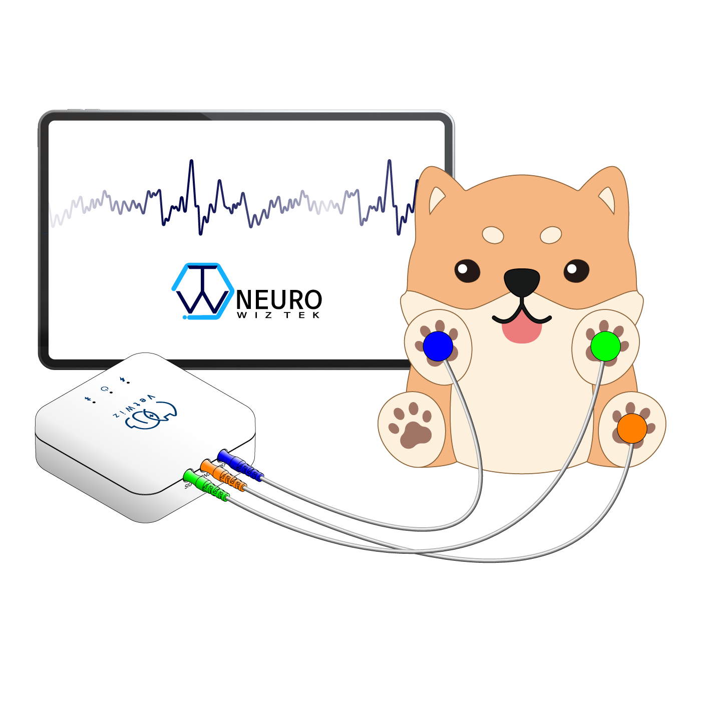 개·고양이 전극 부착 위치 — SIG, GND, REF
